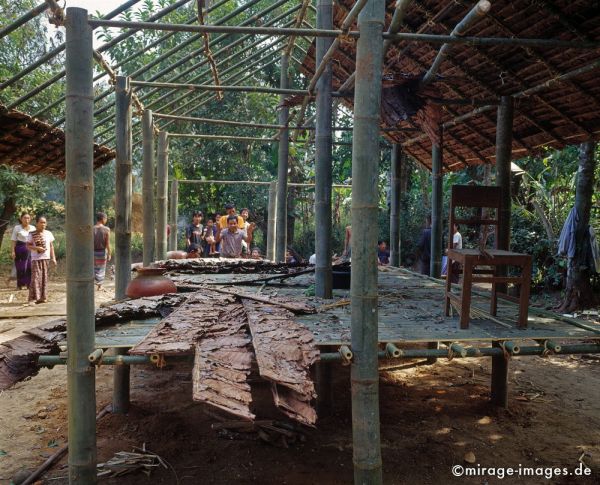 Building a bamboo hut
Hpa - an 
Schlüsselwörter: Dorf, Haus, Gebäude, bauen, Bambus, Hütte, Handwerk, Birma, Burma, Myanmar, Südost Asien, Entwicklungsland, Tropen, Armut, Fernreise, Reise, Kultur, Tourismus, exotisch, touristische Attraktion, Reiseziel, 