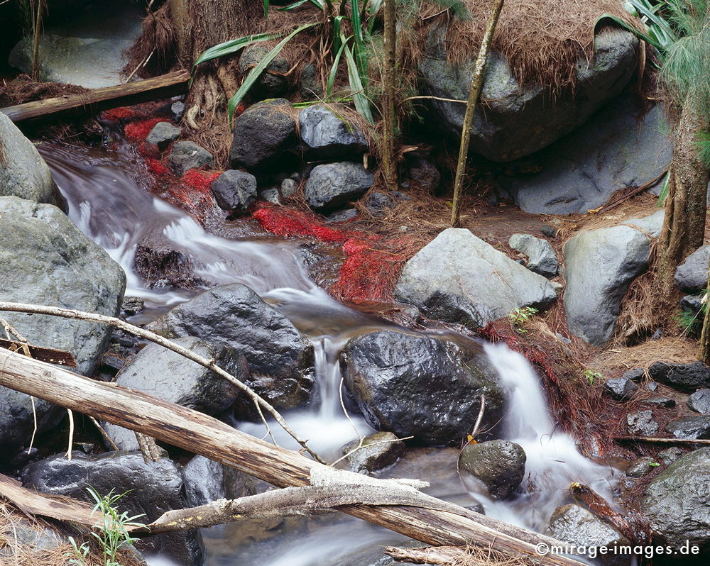 Creek
Forét de Bébour
Schlüsselwörter: Fluss, Wasser, fliessen, Ruhe, Natur, Stein, Meditation, Kontemplation, betrachten, Betrachtung, Entspannung, entspannen, Wildnis, unberührt, frisch, klar, Bewegung, bewegen, natürlich, Harmonie, authentisch, rauschen, Reinheit, Sauberkeit, Leben, 