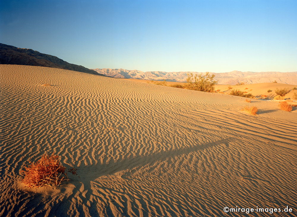 Desert
Death Valley
