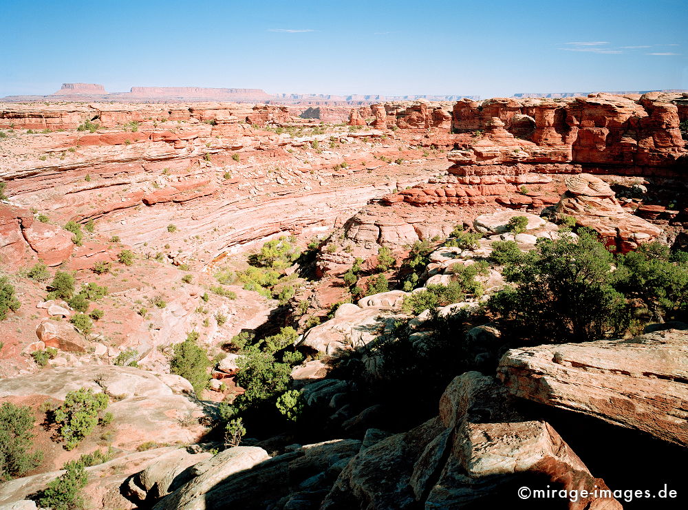 Canyonlands
