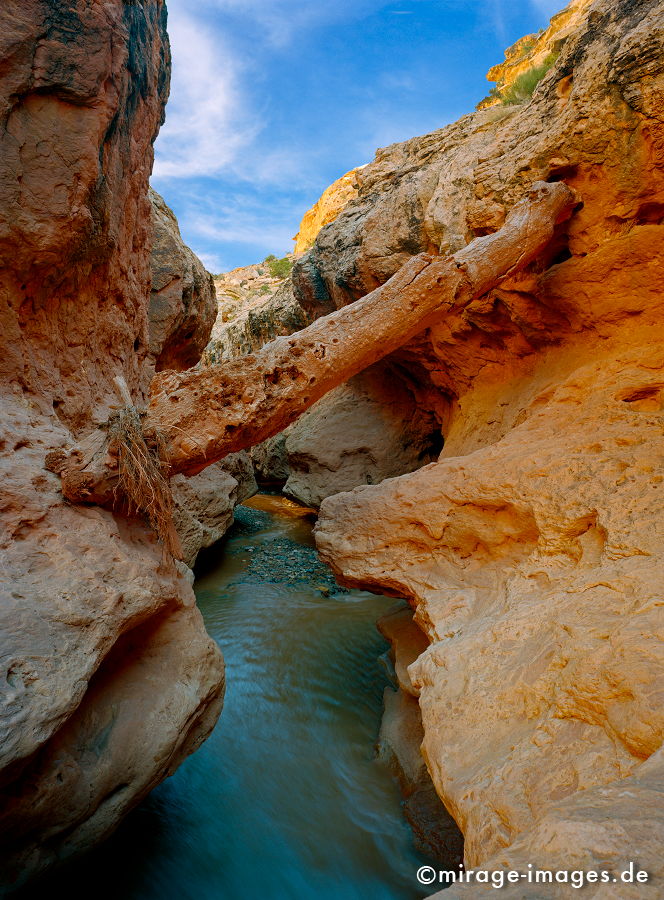 Creek
Capitol Reef NP
Schlüsselwörter: Erosin, Bild, abstrakt, fliessen, ornament, Struktur, Entspannung, entspannen, Muster, Erdgeschichte, Naturwunder, Schönheit, abgelegen, Abenteuer, Entdecken, Aktivität, Umwelt, Vegetation, kraftvoll, Schöpfung,