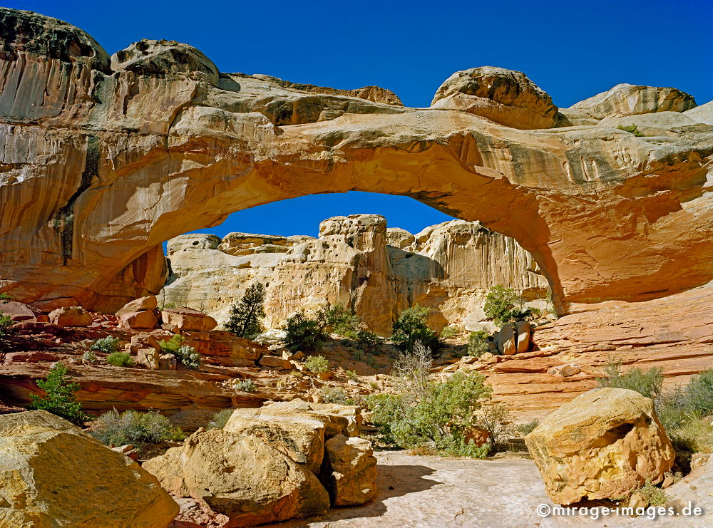 Hickman Natural Bridge Waterpocket Fold
Capitol Reef NP
Schlüsselwörter: gelb, rot, orange, zerfurcht, Felsen, Stein, Wind, Sandstein, Erosin, Bild, abstrakt, fliessen, ornament, Struktur, Entspannung, entspannen, Muster, Erdgeschichte, Naturwunder, Schönheit, abgelegen, Abenteuer, Entdecken, Aktivität, Umwelt, Vegetation,