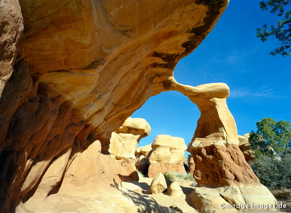 Metate Arch Devil´s Garden
Grand Staircase Escalante National Monument
Schlüsselwörter: Trockenheit, zerfurcht, Felsen, Stein, Wildnis, Wind, Sandstein, Skulptur, gelb, Erosion, ocker, grau, Struktur, Himmel, Wolken, Erdschichten, Pflanze, Weite, Sandstein, Skulptur, surreal, Phantasie, phantastisch, Fantasie, fantastisch, erstaunlich, Sonne