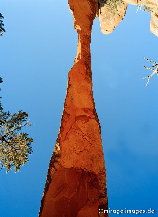 Landscape Arch
Arches NP
Schlüsselwörter: Erdgeschichte, Naturwunder, Schönheit, abgelegen, Abenteuer, Entdecken, Aktivität, Umwelt, Vegetation, kraftvoll, Schöpfung, beeindruckend, traumhaft, hinreißend, rauh, Himmel, blau, Gestein, Sediment, Schichten, Ablagerung, gross,