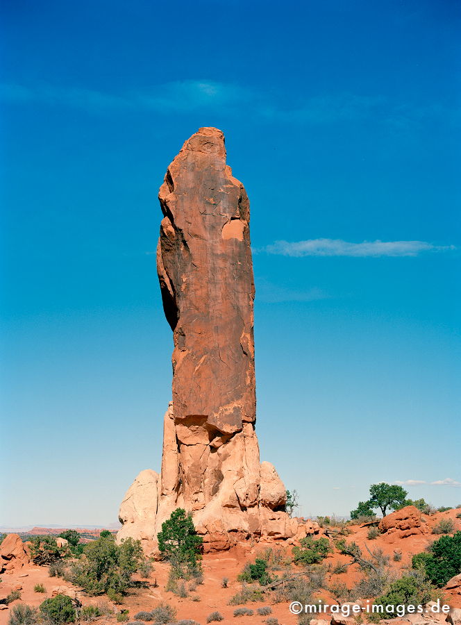 Skyscraper
Arches NP
Schlüsselwörter: zerfurcht, Felsen, Wind, Sandstein, Erosin, fliessen, Struktur, Entspannung, entspannen, Erdgeschichte, Naturwunder, Schönheit, abgelegen, Abenteuer, Entdecken, Aktivität, Umwelt, kraftvoll, Schöpfung, beeindruckend, traumhaft, hinreißend, rauh, Himme