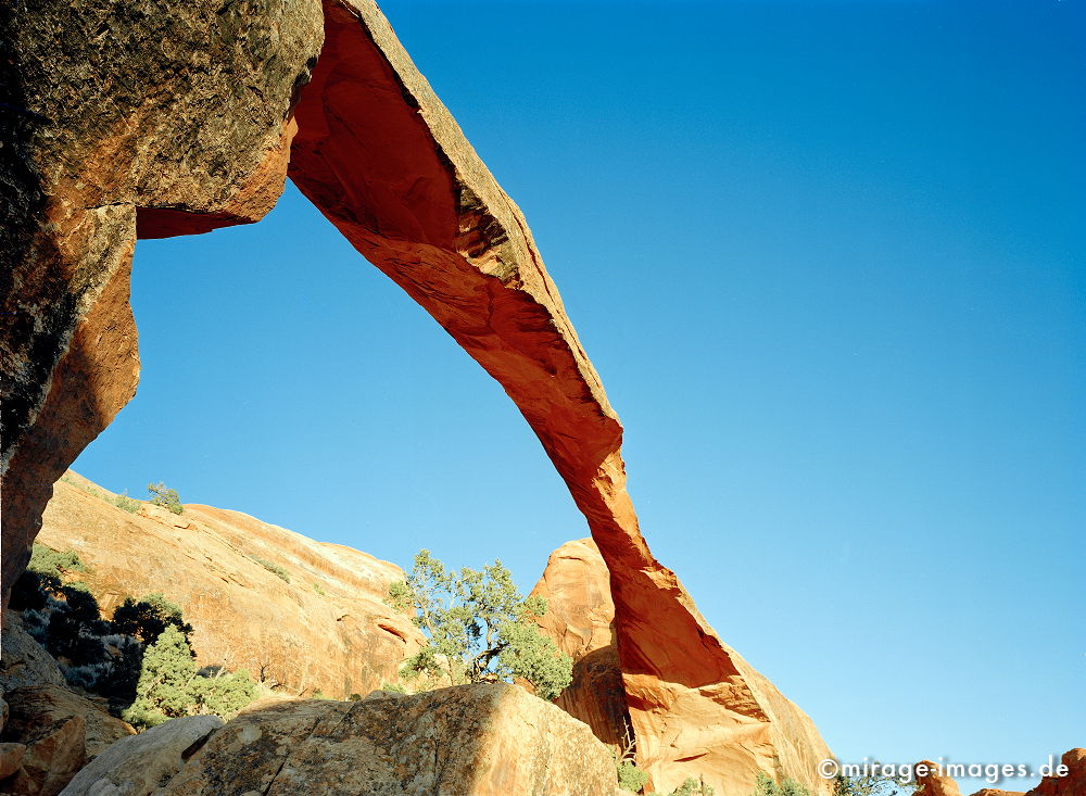 Landscape Arch
Arches NP
