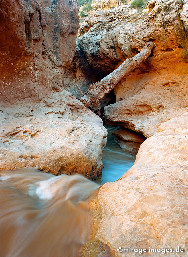 Creek
Arches NP
Schlüsselwörter: Landschaft, Natur, Felsen, Stein, Wildnis, Wind, Sandstein, orange, Skulptur, gelb, Wüste, Erosion, Baum, Holz, Fluss, ocker, Enge,
