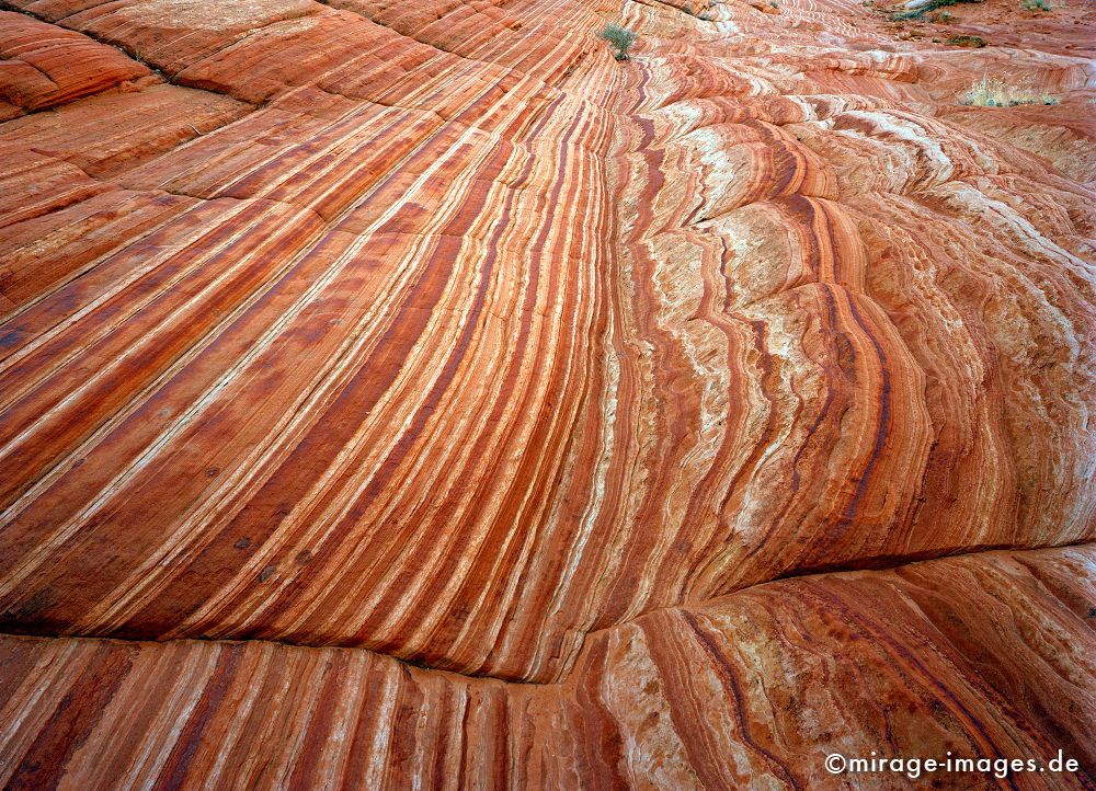 red stripes
Grand Staircase Escalante National Monument
Schlüsselwörter: rot, zerfurcht, Felsen, Stein, Wind, Sandstein, Erosin, Bild, abstrakt, fliessen, ornament, Struktur, Entspannung, entspannen, Muster, Erdgeschichte, Naturwunder, Schönheit, abgelegen, Abenteuer, Entdecken, Aktivität, Umwelt, Vegetation, kraftvoll,