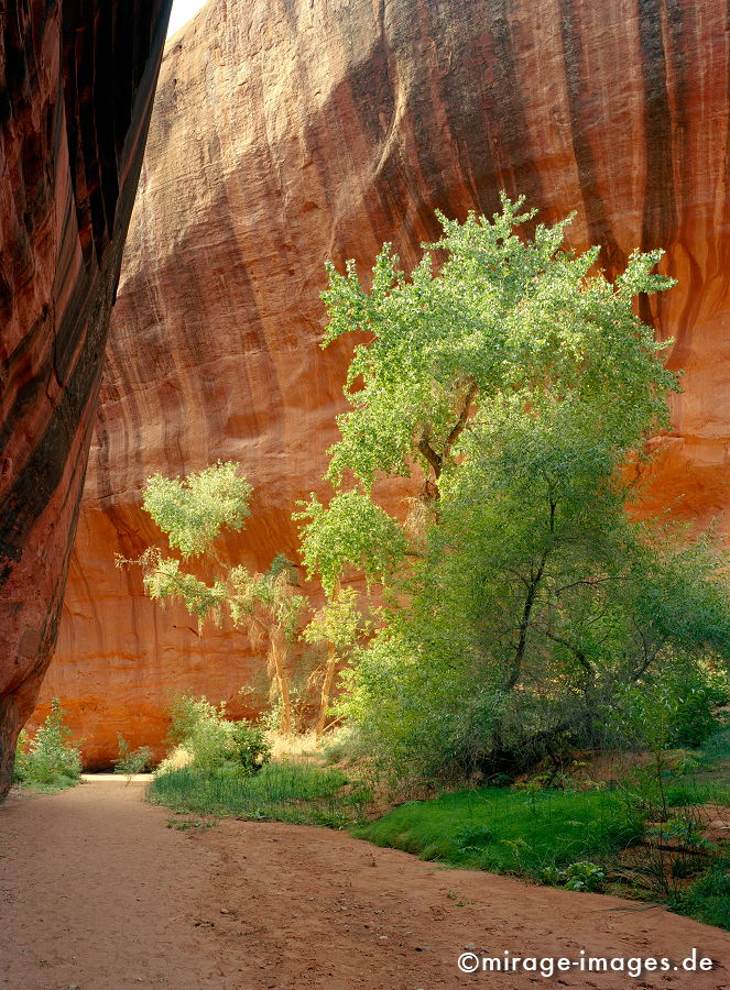 Neon Canyon
Grand Staircase Escalante National Monument
