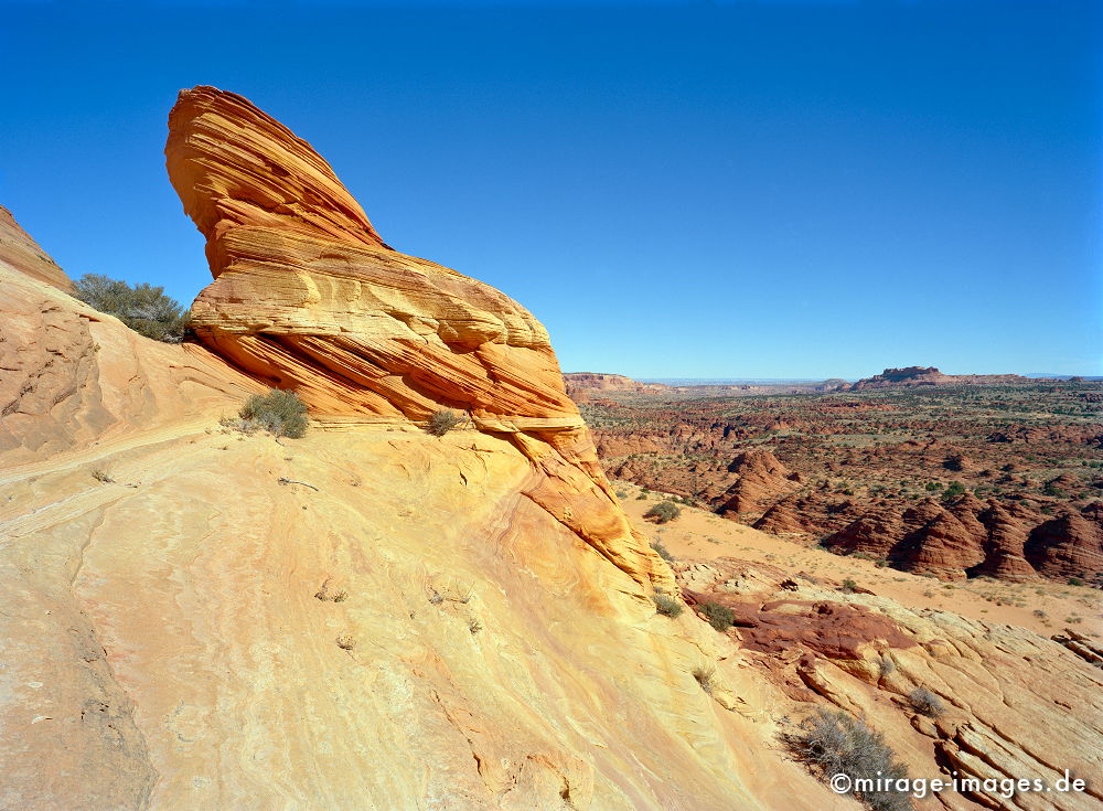 Morgentau
Grand Staircase Escalante National Monument
