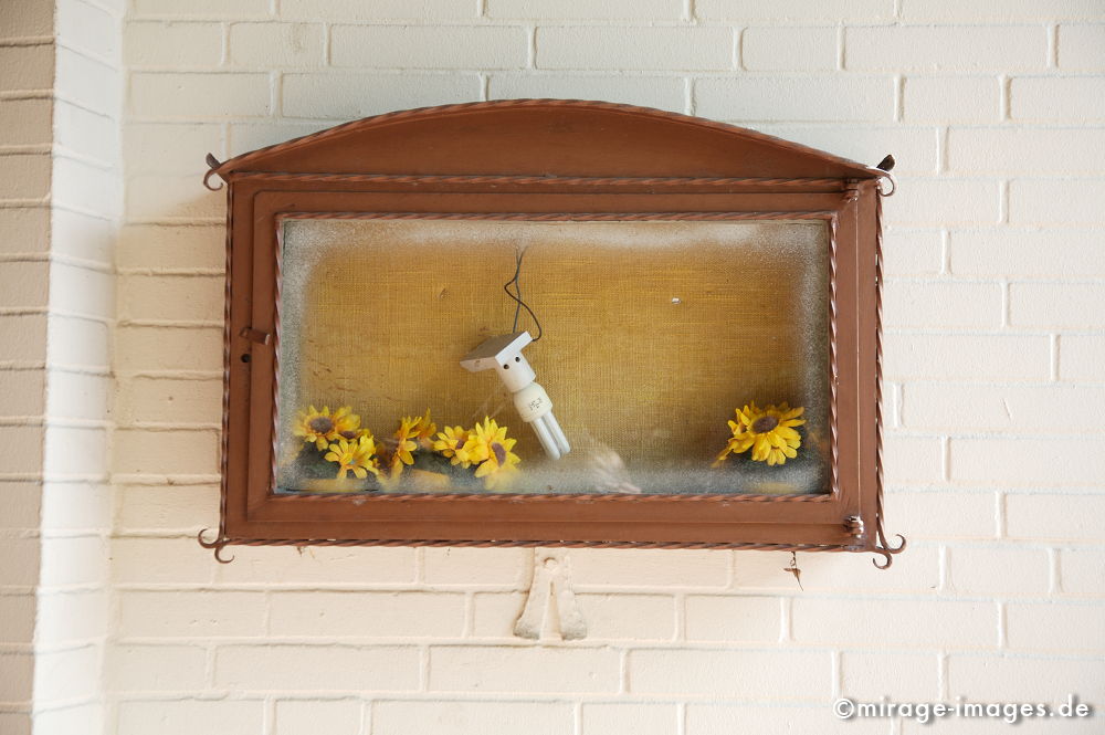 Sunflowers
Jeesteburg
