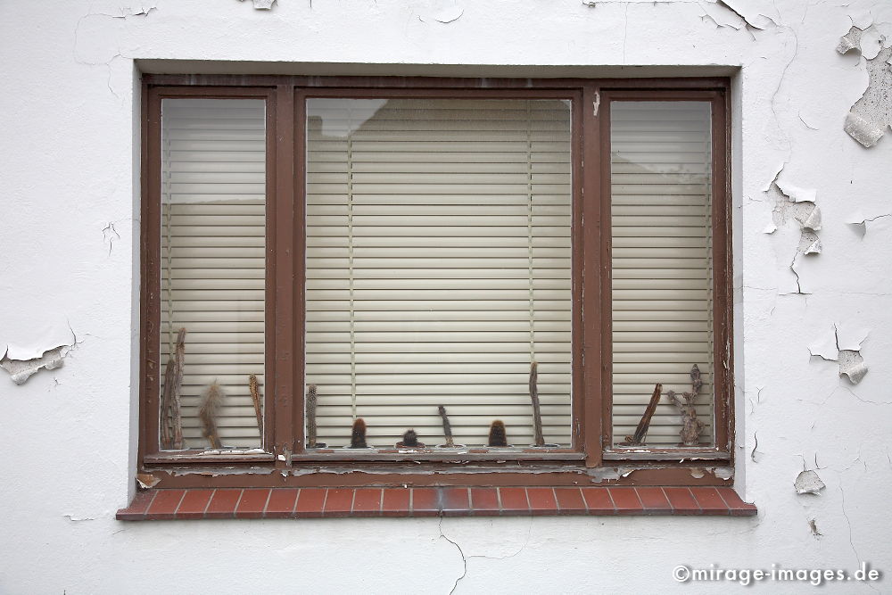 Wohnzimmerfenster
Trittau
