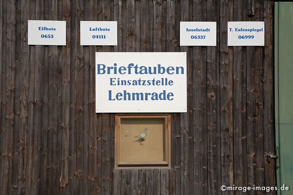 Brieftauben
Lehmrade
