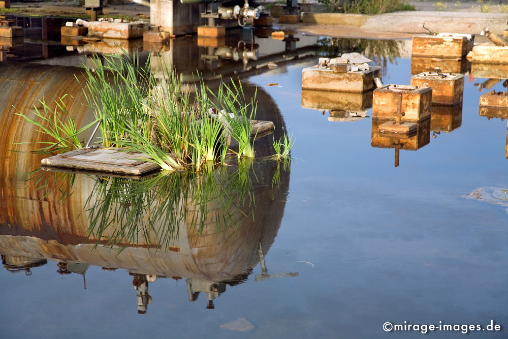Stairway to heaven
Kokerei Kaiserstuhl
Schlüsselwörter: Ruhrgebiet, Geschichte, Industriegeschichte, Revier, Industrie, Industrieruine, Abbruch, Verfall, Erosion, Zeitalter, Industrieanlage, Standort, Strukturwandel, Endzeit, stillgelegt, Abriss, baufällig, Gebäude, Ruine,