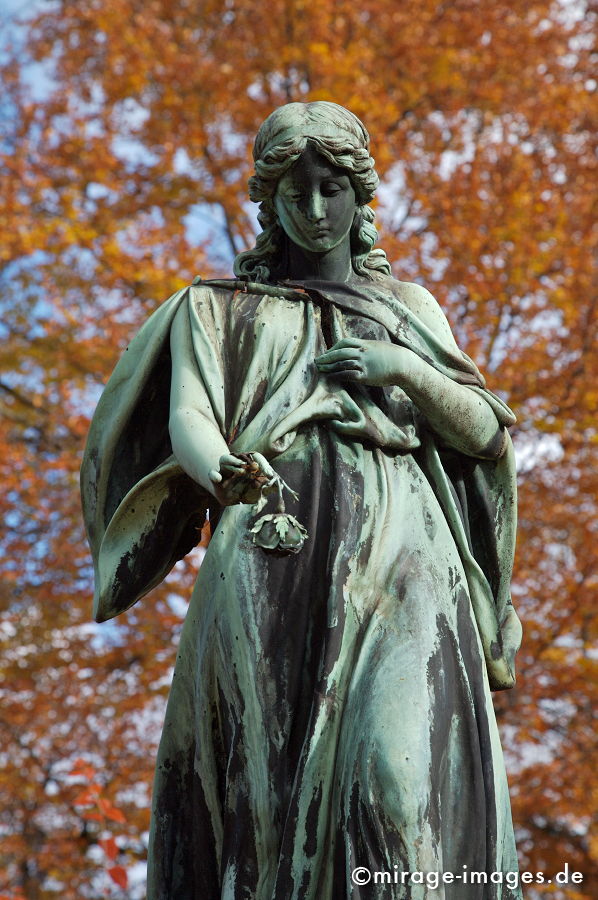 Angel 8
M�nchen Ostfriedhof
Schlüsselwörter: Mourning1, Kultur, Fl�gel, g�ttlich, Friedhof, Kunst, Statur, Himmel, violett, bronze, Architektur, himmlisch, Tod,