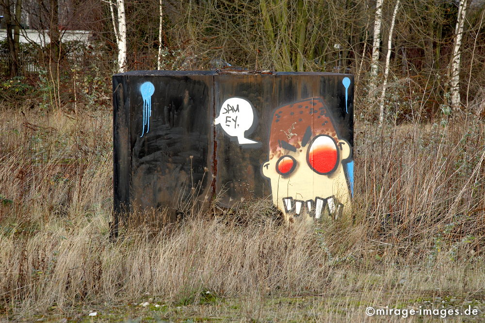 Graffiti auf Ruhrpott
Kokerei Kaiserstuhl
Schlüsselwörter: Jugend, Wirtschaft, Kohle, Industrieanlage, verlassen, Montanindustrie, Traum, Kunst, Malerei, Fantasie, bunt, farbig, Befindlichkeit,