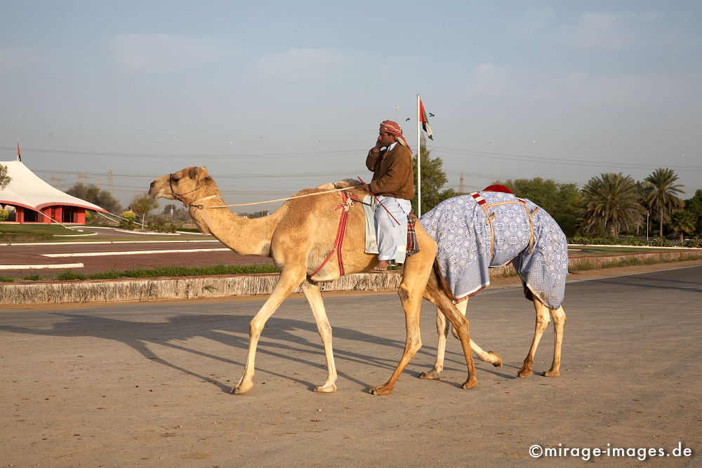 Connected
Schlüsselwörter: urbanlife1