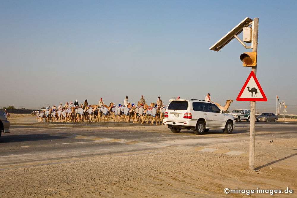 Camels
Schlüsselwörter: international, Geschäft, Geldanlage, Investment, Globalisierung, Investor, Konsum, Tourismus, Größenwahn, Arabien, arabisch, Mittlerer Osten, Wohlstand, Überfluss, Geld, Kapital, Wüste, Reise, reisen, exotisch, bombastisch, Wachstum,