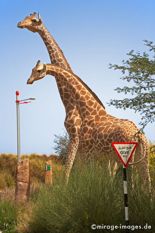 Giraffen
Dubailand
Schlüsselwörter: absurd, Attrappe, Beton, bizarr, deplaziert, Freude, Geldanlage, Geschäft, Globalisierung, Intelligenz, Investment, Investor, Kitsch, Konsum, Kontrast, kontrastreich, künstlich, Kuriosität, animals1, Metapher, Nachbildung, Park, Platz, Raum, Säugetie