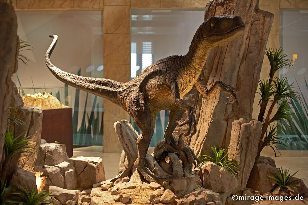 Dinosaurier
Dubailand
Schlüsselwörter: animals1,