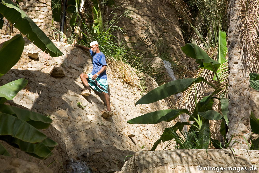 Wakir
Al Hajar al Gharbi
Schlüsselwörter: Bewässerung, Omani, Falaj, Aflaj, Aflaaj, Oase, Wasser, wertvoll, Ernährung, überleben, Landwirtschaft, alt, Erbe, Wakir, Garten, Treppe, Plantage, Mensch, Mann, Terrassen, Lebensmittel, zeitlos, Dorf, ländlich, ruhig, gelassen, Charakter, Gartenkunst