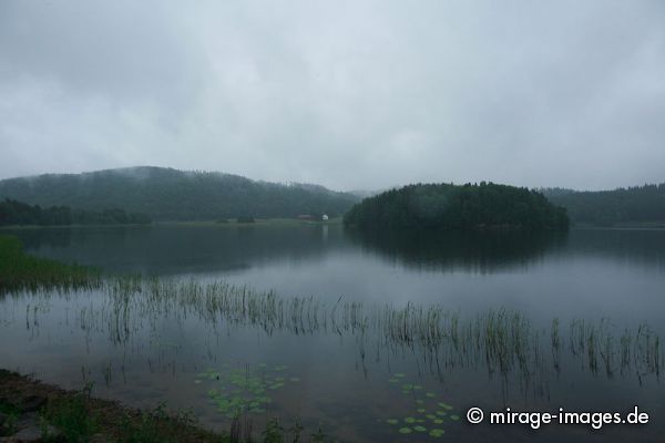 fog in the evening
Ljungskile
Schlüsselwörter: grau, feucht, Nebel, nass, grün, Landschaft, See, Wasser, Tristesse, einsam, Einsamkeit, Insel,