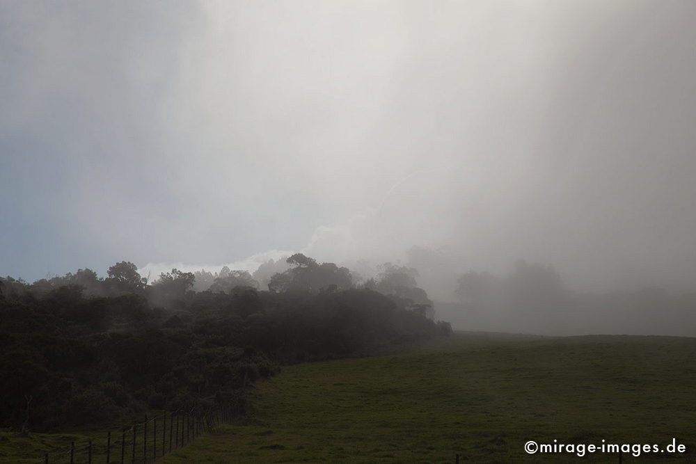 Fog over the meadow
La Plaine de Cafres
Schlüsselwörter: Abendstimmung, Nebel, Wiese, Bäume, Dunst, abends, Dämmerung, malerisch, Landschaft, wild, Natur, Paradies, paradiesisch, tropisch, 