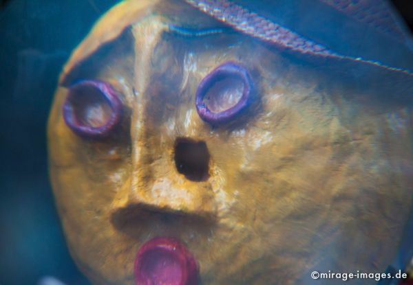 Magnifier
Schlüsselwörter: Fasnacht, Larve, Masken, Cliquen, Sujet, Thema, Cortèges, Brauch, Tradition, Umzug, Umzüge, Humor, Lupe, Comic, Vergrösserungsglas, 