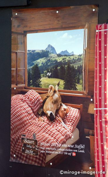 Country Life
Schlüsselwörter: Fasnacht, Sujet, Thema, Cortèges, Brauch, Tradition, Umzug, Umzüge, Humor, Musik, Comic, Hohn, Verspottung, Sarkasmus, zynisch, Zynismus, Spott, Plakat, Fernsehen, TV, 