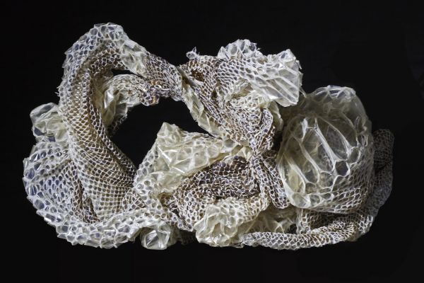 Häutung
Boa constrictor
Schlüsselwörter: Haut Tier tot Alien unheimlich mysteriös Häutung Schlangenhaut Muster Eleganz elegant Transparenz transparent Waben Epidermis Erneuerung mystisch Hornhaut abgestorben dekorativ Natur Reptilien Schönheit Natur