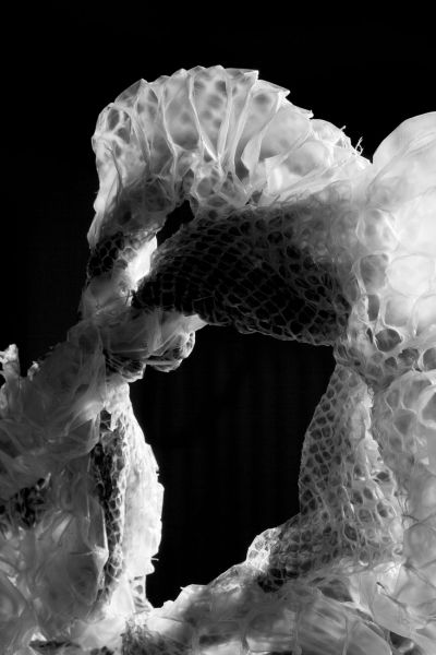 Häutung
Boa constrictor
Schlüsselwörter: Haut Tier tot Alien unheimlich mysteriös Häutung Schlangenhaut Muster Eleganz elegant Transparenz transparent Waben Epidermis Erneuerung mystisch Hornhaut abgestorben dekorativ Natur Reptilien Schönheit Natur