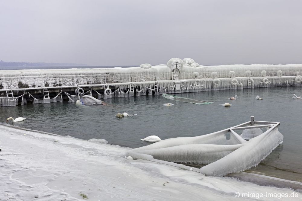 Harbour
Versoix Lac Léman
Schlüsselwörter: Zuckerguss Glatteis Eis vereist arktisch Winter Kälte sibirisch Frost Skulptur malerisch pittoresk bizarr surrealistisch selten unbrauchbar Attraktion extrem eingepackt  Kunstwerk unbeweglich Ruhe friedlich Schönheit Zauber Spektakel 