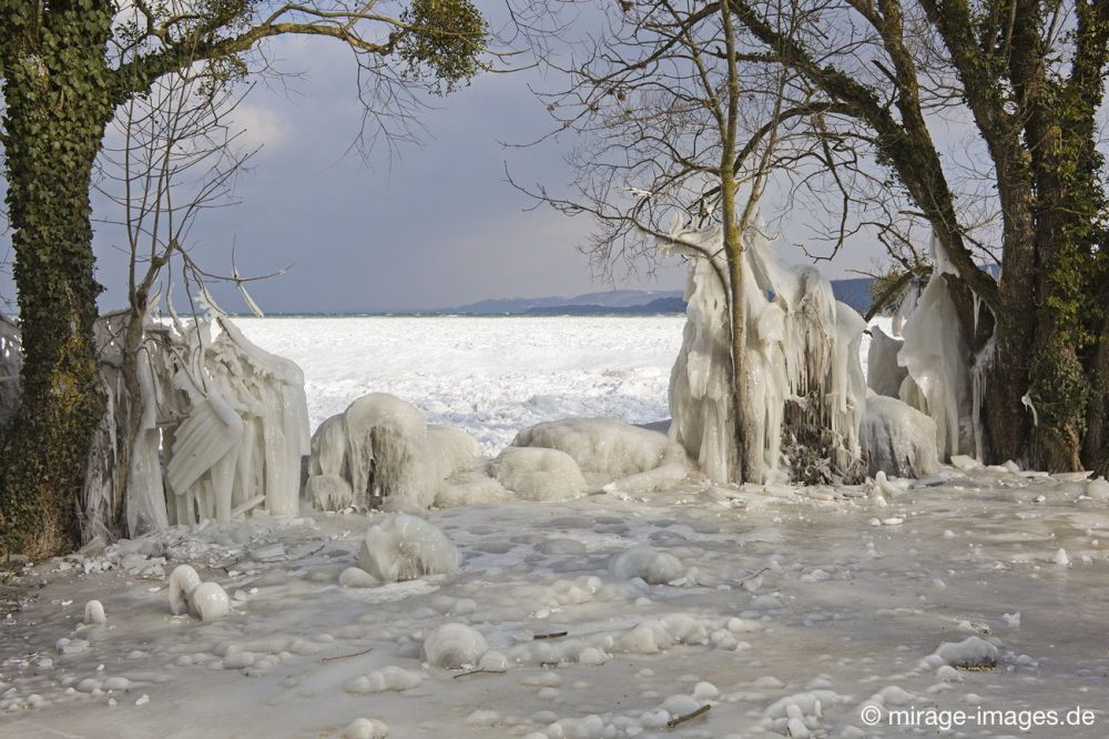 Grand Theatre
Lac de Neuchâtel 
Schlüsselwörter: Theater Bühne Licht Eis vereist arktisch Winter Kälte kalt sibirisch Frost malerisch skurill bizarr surrealistisch  extrem eingepackt umhüllt Baum Kunstwerk unbeweglich Stillstand Ruhe friedlich Phänomen Element Schönheit Magie Zauber magisch Zuckerg