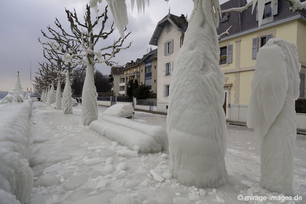Uferpromenade
Versoix Lac Léman
Schlüsselwörter: Zuckerguss Glatteis Eis vereist arktisch Winter Kälte sibirisch Frost Skulptur Auto malerisch pittoresk bizarr surrealistisch selten unbrauchbar Attraktion extrem eingepackt hilflos Bank Kunstwerk unbeweglich Ruhe friedlich Schönheit Zauber Promenade