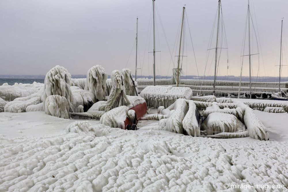 Stranded
Port de Choiseul Lac Léman
Schlüsselwörter: Zuckerguss Glatteis Eis vereist arktisch Winter Kälte sibirisch Frost Skulptur malerisch pittoresk bizarr surrealistisch Boote unbrauchbar Attraktion extrem eingepackt  Kunstwerk unbeweglich Ruhe friedlich Schönheit Zauber Segelboote 