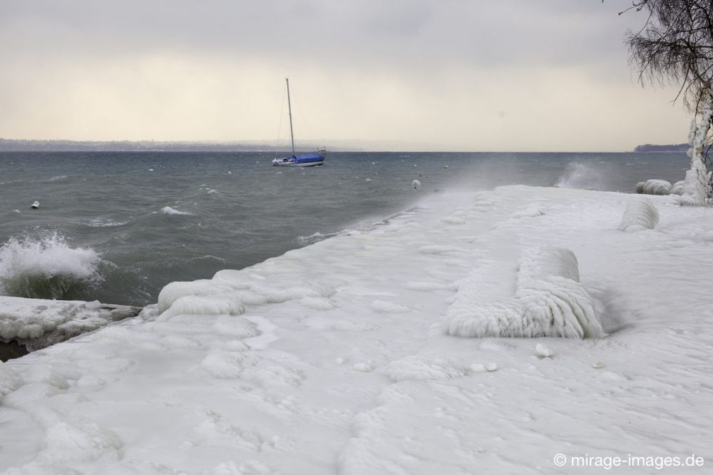 Unfriendly
Port de Choiseul Lac Léman
Schlüsselwörter: Zuckerguss Glatteis Eis vereist eisig kalt Sturm arktisch Winter Kälte sibirisch Frost Skulptur malerisch bizarr surrealistisch  unbrauchbar Attraktion extrem eingepackt  Kunstwerk unbeweglich Ruhe friedlich Schönheit Zauber Zuckerguss Wetter 