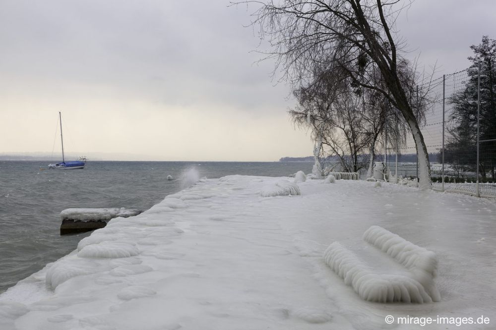 Unfriendly
Port de Choiseul Lac Léman
Schlüsselwörter: Zuckerguss Glatteis Eis vereist eisig kalt Sturm arktisch Winter Kälte sibirisch Frost Skulptur malerisch bizarr surrealistisch  unbrauchbar Attraktion extrem eingepackt  Kunstwerk unbeweglich Ruhe friedlich Schönheit Zauber Zuckerguss Wetter 
