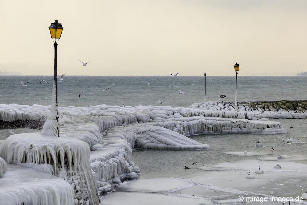 Lonely harbour 
Port de Choiseul Lac Léman
Schlüsselwörter: Zuckerguss Glatteis Eis vereist arktisch Winter Kälte sibirisch Frost Skulptur malerisch pittoresk bizarr surrealistisch selten Laternen Attraktion extrem eingepackt  Kunstwerk unbeweglich Ruhe friedlich Schönheit Zauber Spektakel 