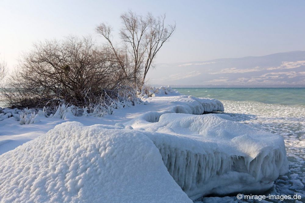 Ice Desert
Lac de Neuchâtel 
Schlüsselwörter: draussen eingefroren Schnee Eis Eiszapfen fantastisch  friedlich Frost gefroren Gewässer Winter Kälte Magie magisch Pracht rauh extrem kalt Landschaft Natur romantisch Schönheit vereist verzaubert Wasser Ufer See Winter Zauber Zuckerguss Ruhe friedlich