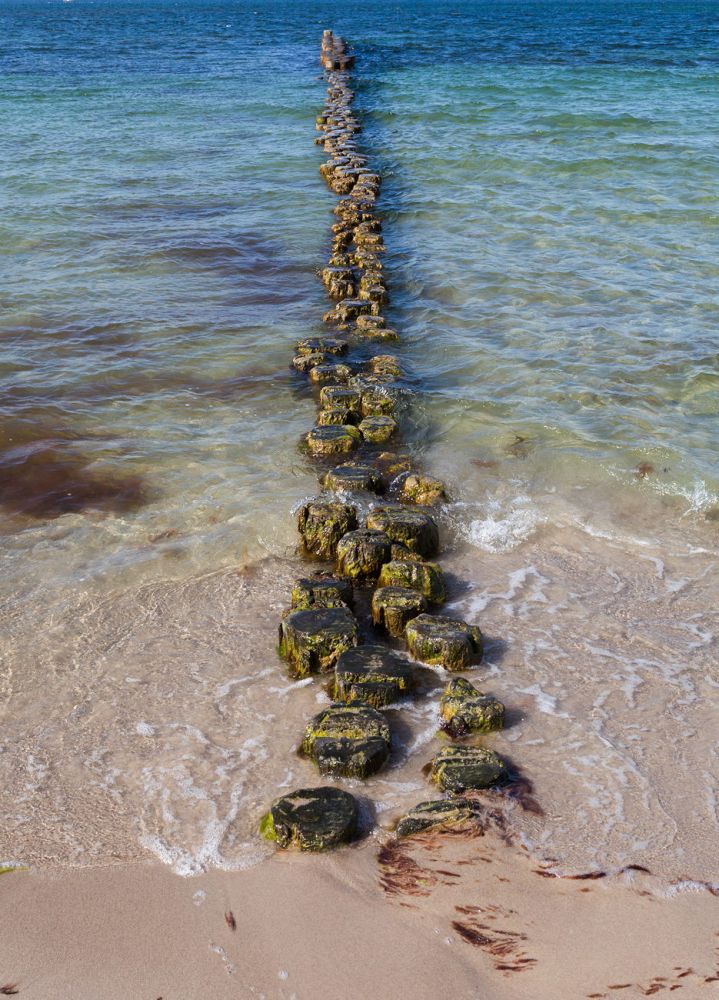 Bumpy Land
Glowe Rügen
Schlüsselwörter: Steg Baumstümpfe Küste Meer See Holz Wasser Strand Sand glitschig rutschig Algen blau türkis Wellen beschaulich Postkarte beruhigend draussen niemand Wellenbrecher Sonne sonnig 