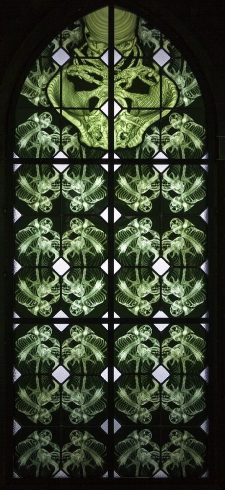 Wim Delvoye Chapelle 2006
Luxembourg Museum for Modern Art 
Schlüsselwörter: Nichtigkeit Eitelkeit d�ster Sch�del Kapelle Bleiverglasung schwer Metall Kirchenfenster heidnisch Vanitas Gewalt vergänglich vergehen Röntgen Küsse Glas Verfall Dasein gotisch Fenster Skelett Schädel