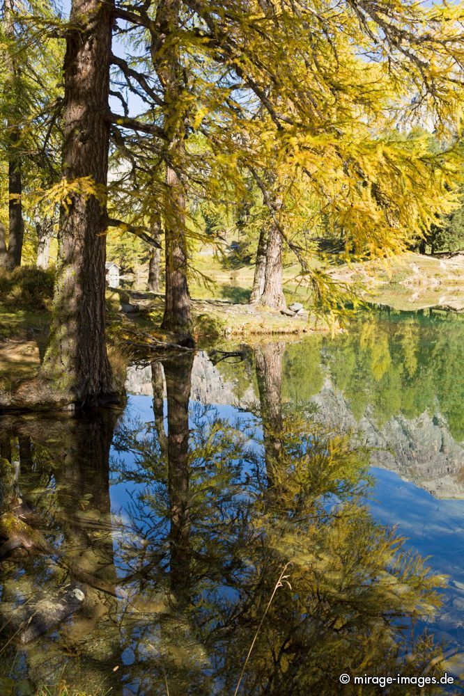 Palpuognasee - Lai da Palpuogna
Albulapass
Schlüsselwörter: See Herbst farbig Spiegelung Reflektion romantisch unberührt Natur natürlich malerisch Schönheit Harmonie Frieden friedlich Wasser Stille empfindlich rein sauber glasklar sonnig positiv Gleichgewicht Farben Ufer Postkarte