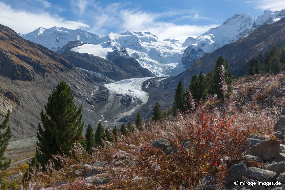 Morteratsch Glacier
Pontresina
Schlüsselwörter: Stein Felsen Berge Gebirge Weite Natur Landschaft Gletscher einsam Sommer Sonne sonnig menschenleer Freizeit Himmel blau Herbst Tal Übersicht Moräne Gletscherschmelze Schnee Erholung atemberaubend großartig Kulisse Attraktion Tourismus urwüchsig