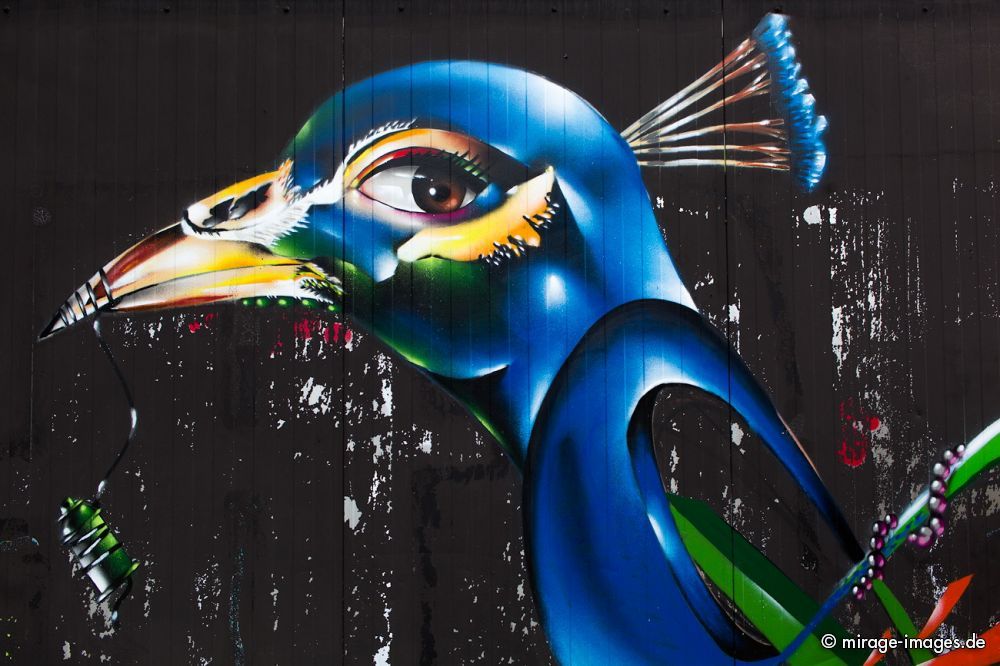 Peacock
Dortmund
Schlüsselwörter: Fantasie, bunt, schrill, Kunst, farbig, wild, comic, Bilder, Zeichen, Schriften, Wand, öffentlicher Raum, anonym, illegal, Grauzone, Sprühdosen, Farbe, Sprayer, sprühen, Vandalismus, Strassenkunst, Kultur, Gegenkultur, Kreativität, kreativ, urban,