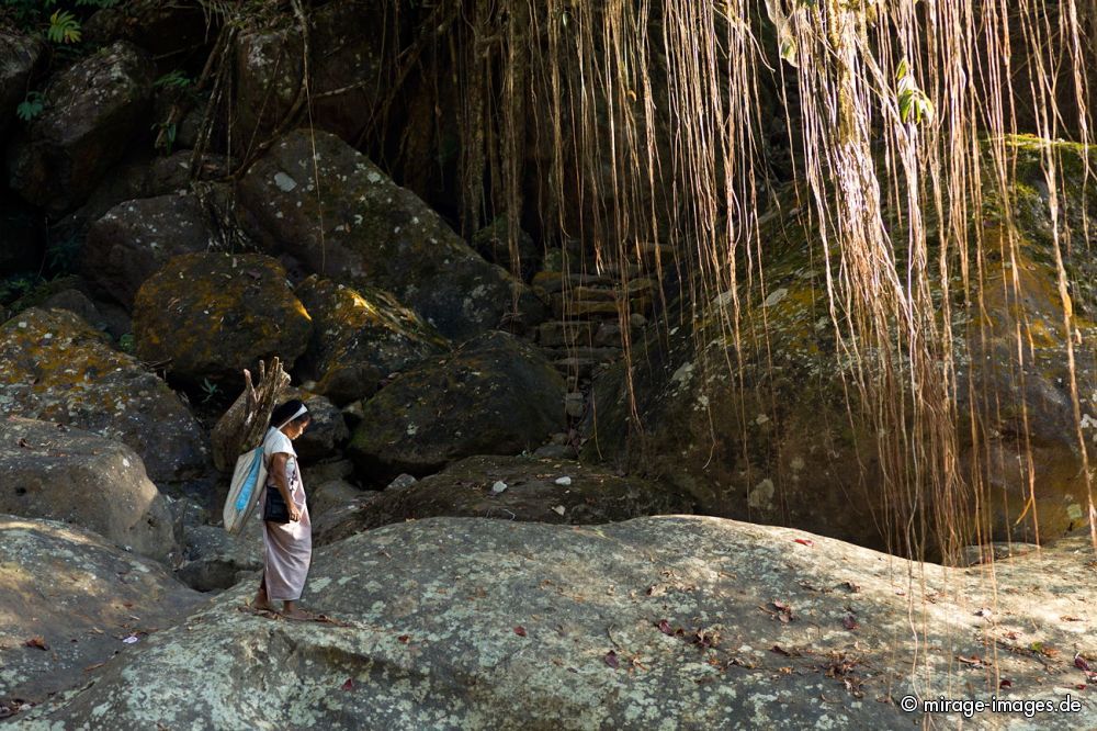 Khasi Women carrying wood under a Living Root Bridge
Cherrapunjee Nogriat
