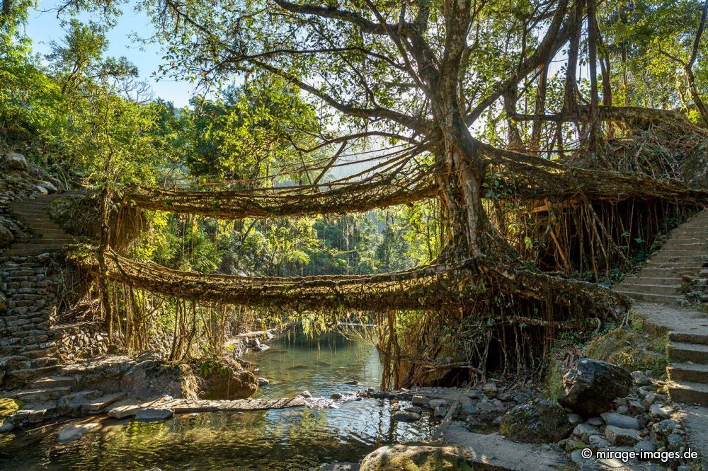 Umshiang Double-Decker Root Bridge
Cherrapunjee Nogriat
