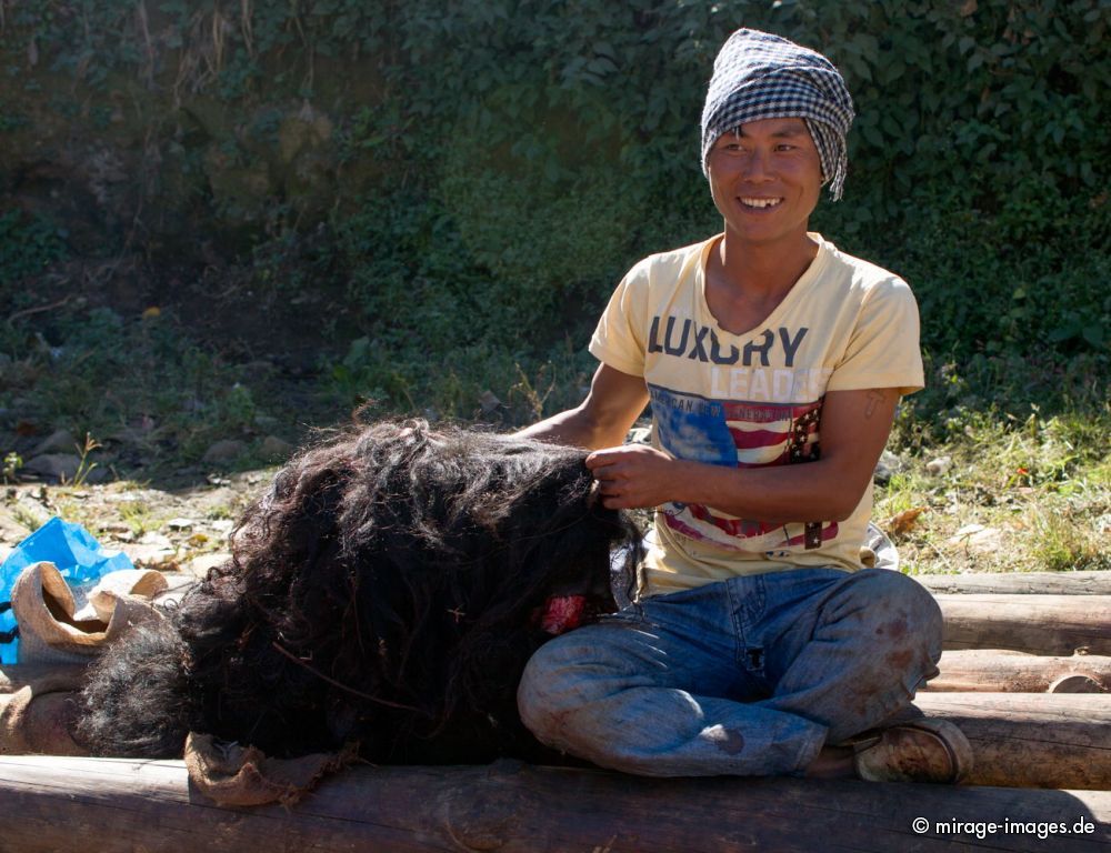 Yak Market
West Kamen Dirang
Schlüsselwörter: Fleisch Ernährung rot roh Verkäufer Käufer Tradition Yak Yakfleisch Hygiene Sonne Personen Verkauf Fleischer schlachten Farbe Mann draussen Tier Tod Huf tot unhygienisch verderben Blut blutig Einheimischer archaisch Alltag Handel Rind animalisch Markt
