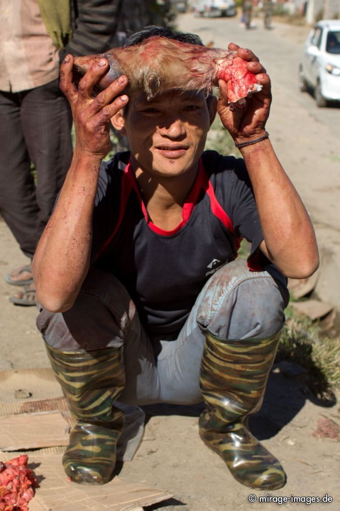 Young man offering a bloody Hoof of a Yak 
West Kamen Dirang
Schlüsselwörter: Fleisch Ernährung rot roh Verkäufer Käufer Tradition Yak Yakfleisch Hygiene Sonne Personen Verkauf Fleischer schlachten Farbe Mann draussen Tier Tod Huf tot unhygienisch verderben Blut blutig Einheimischer archaisch Alltag Handel Rind animalisch Markt