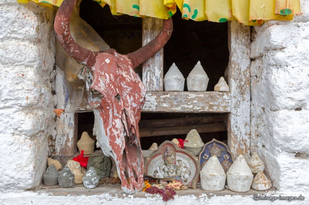Animistic Shrine
Tawang
Schlüsselwörter: Altar Schädel animistisch buddhistisch Animismus wild tibetisch buddhistisch ursprünglich karg Symbol Glaube glauben alt Überlieferung Kraft Macht Tiefe Religion spirituell Seele Natur Schamanismus rituell Geister Dämonen mystisch Mystik jenseits