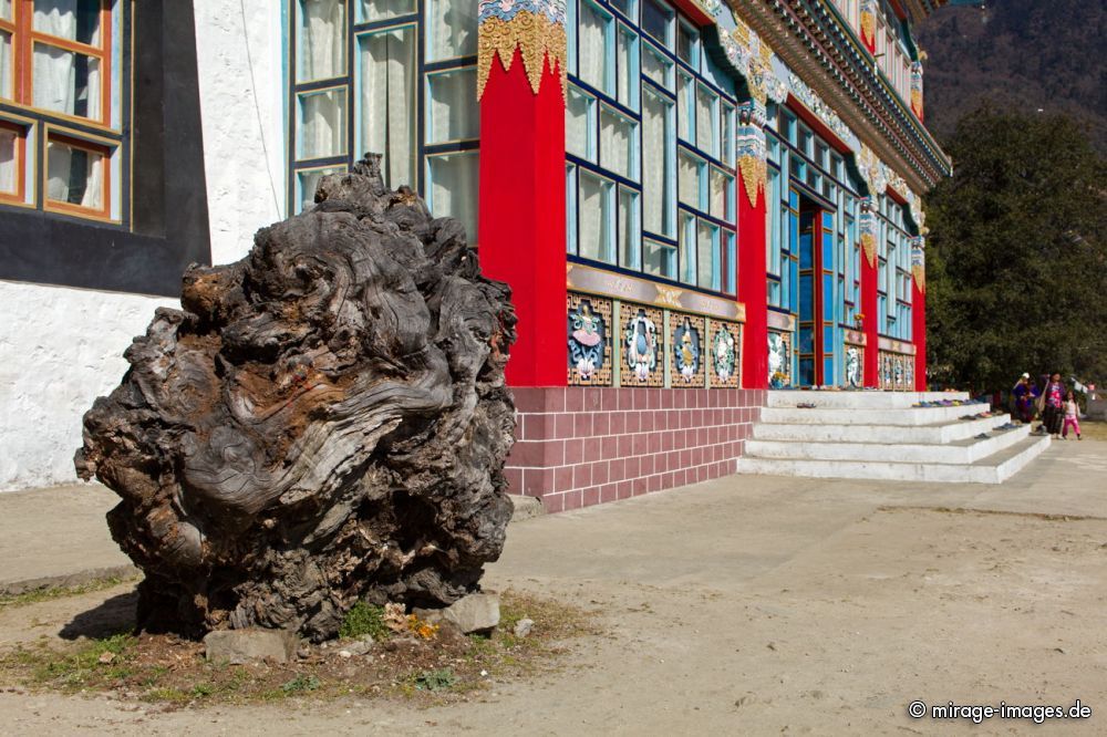 Khinmey Nyingma Monastery 
Tawang
Schlüsselwörter: Buddhismus Glauben Religion Kloster tibetisch Lama Himmel Sakyamuni Gompa heilig Heiligtum Schönheit Natur Mahayana Architektur blau erhaben majestätisch romantisch geweiht buddhistisch Zufluchtsort